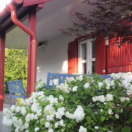 Nagymajor Birding Lodge Tiszacsege 외부 사진