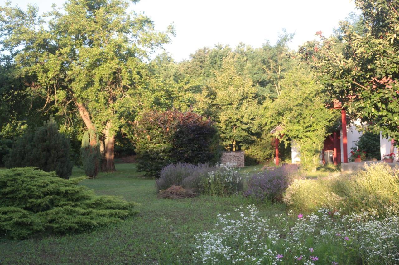 Nagymajor Birding Lodge Tiszacsege 외부 사진
